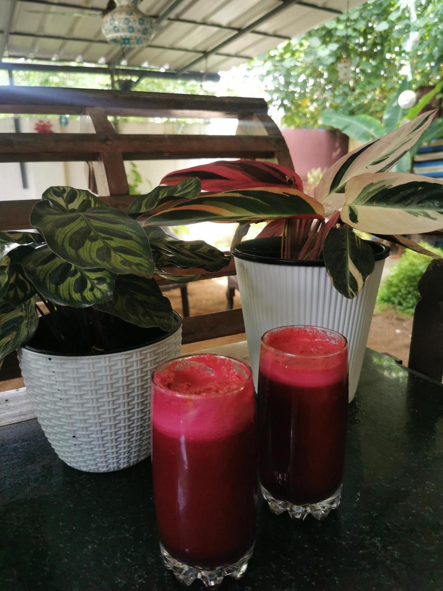 Jeehaa Homestay Alappuzha Luaran gambar
