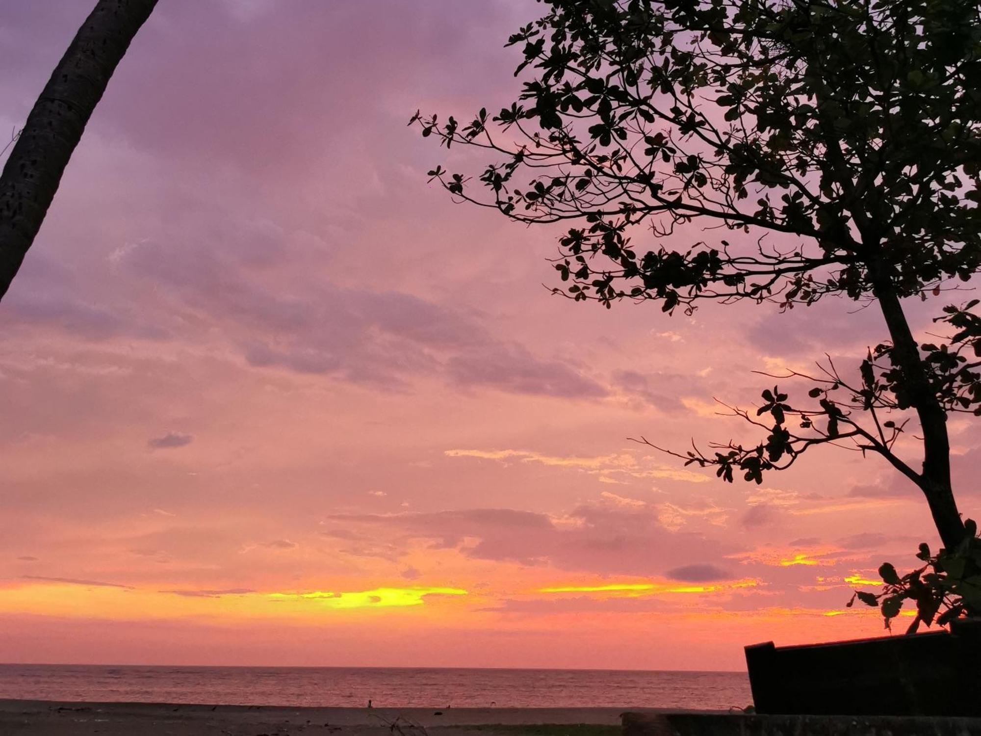 Jeehaa Homestay Alappuzha Luaran gambar